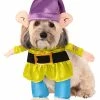 Disney Dog Costume- Dopey