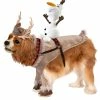 Disney Dog Costume- Sven